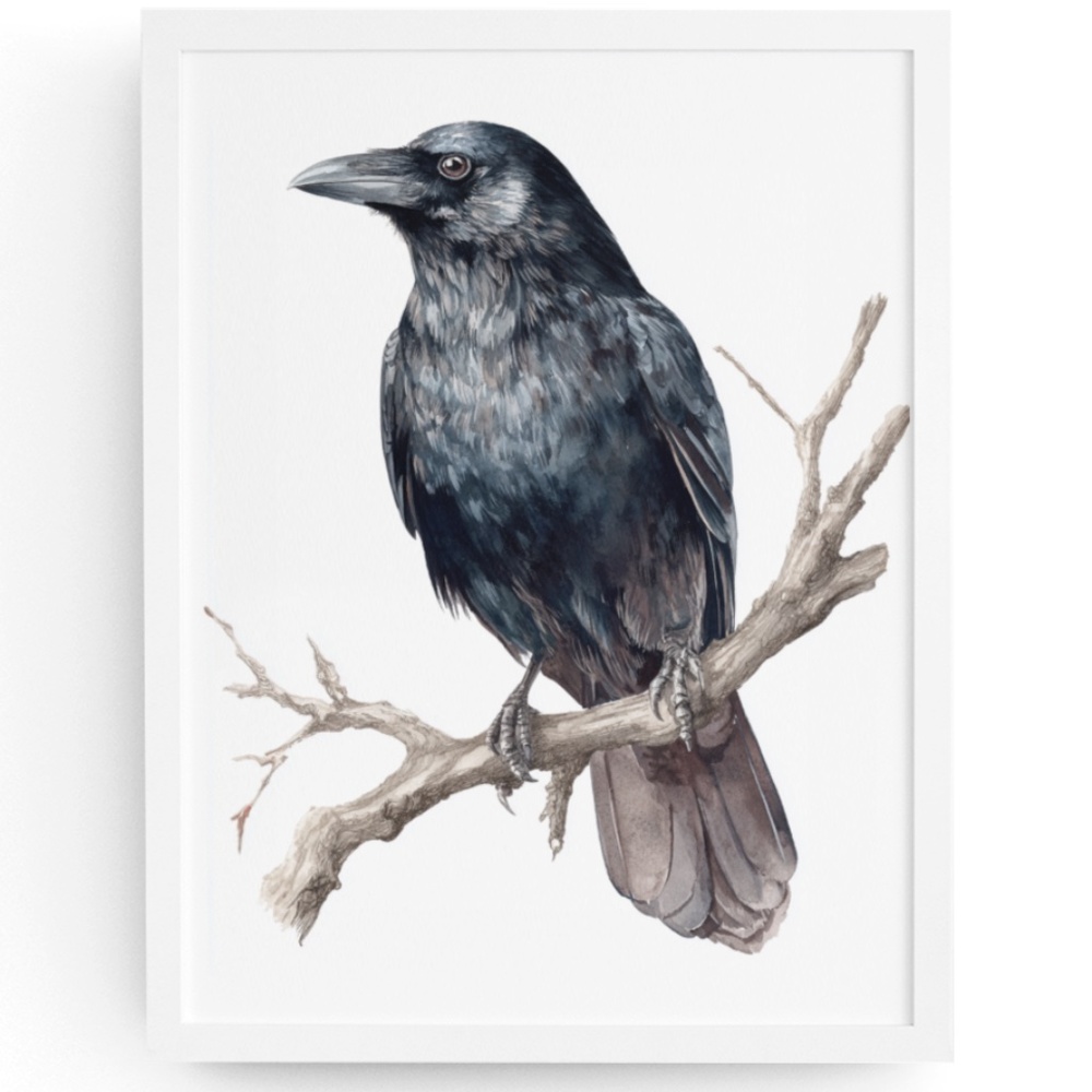 Watercolor Black Crow Wall Art Print Unframed - Black Bird Illustration Artwork